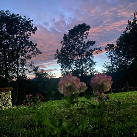 Vila Casutele Din Poienita Comarnic Exteriér fotografie