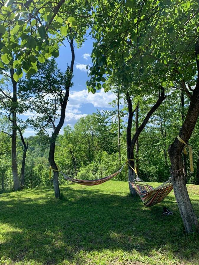 Vila Casutele Din Poienita Comarnic Exteriér fotografie