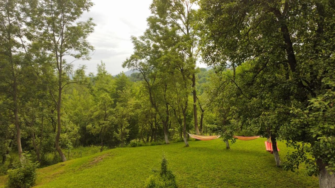 Vila Casutele Din Poienita Comarnic Exteriér fotografie