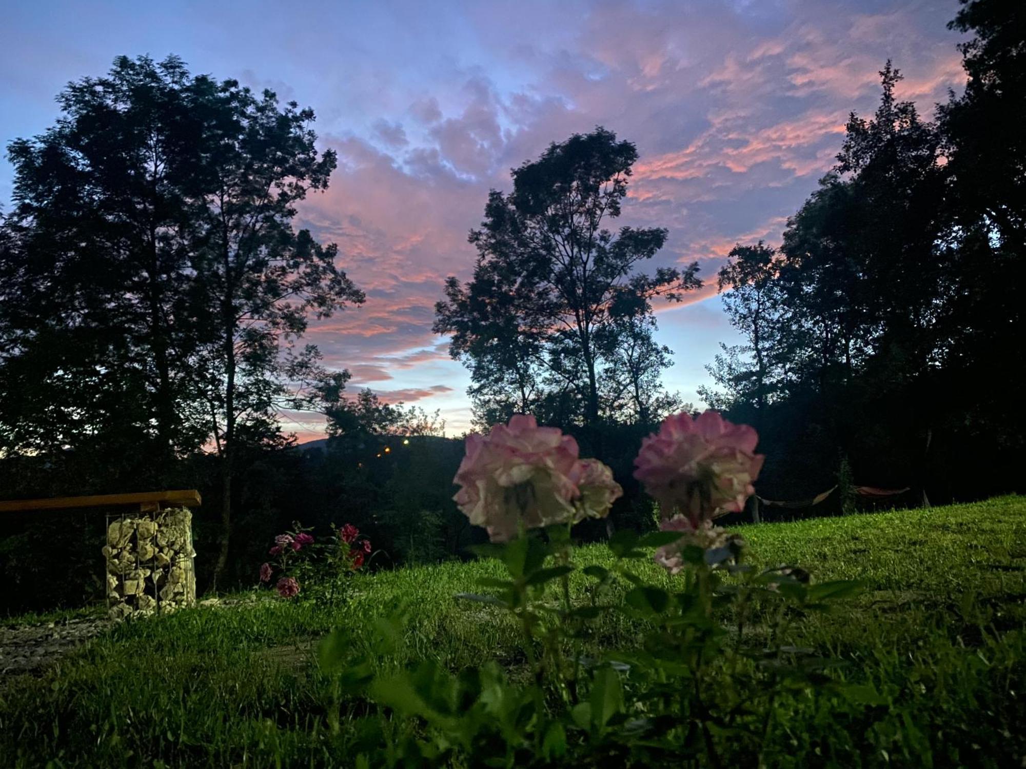 Vila Casutele Din Poienita Comarnic Exteriér fotografie